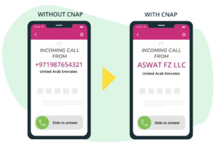 CNAP in uae cnap in uae